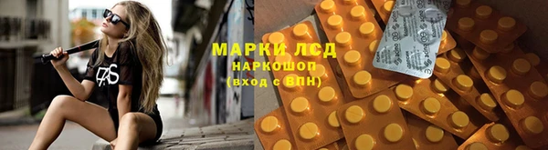 ПСИЛОЦИБИНОВЫЕ ГРИБЫ Зеленокумск