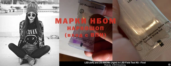 ПСИЛОЦИБИНОВЫЕ ГРИБЫ Зеленокумск