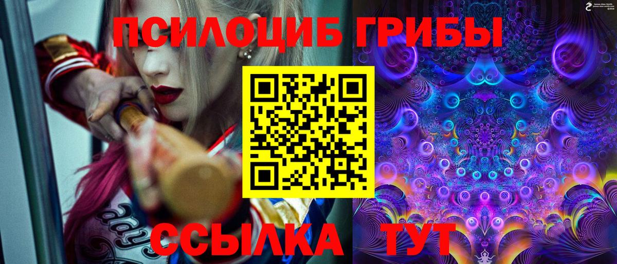 Галлюциногенные грибы MAGIC MUSHROOMS Калач-на-Дону
