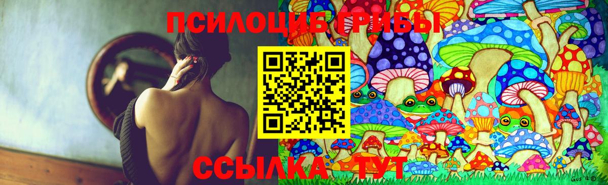 Калач-на-Дону  купить   Псилоцибиновые грибы мицелий  Вход с VPN  Галлюциногенные грибы Psilocybe 