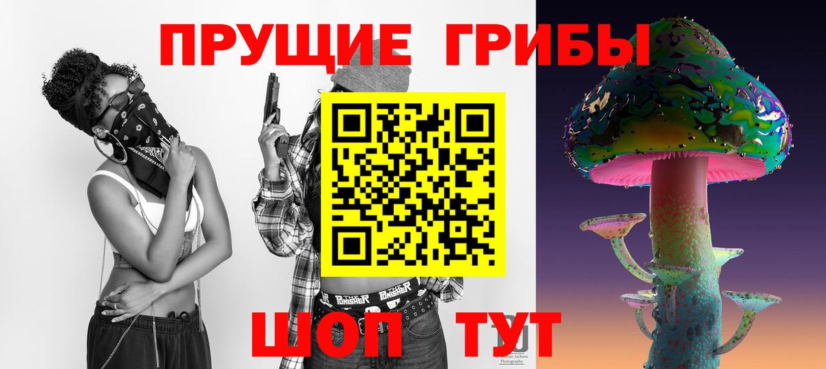 Псилоцибиновые грибы GOLDEN TEACHER  Псилоцибиновые грибы Cubensis  Калач-на-Дону 